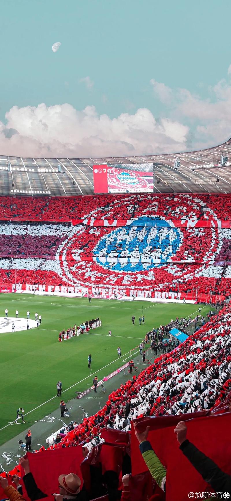 广厦103-99青岛迎3喜1忧！2新外援太好用，赵嘉仁太准了！