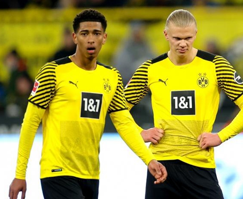 上海主帅战术布置引赞赏